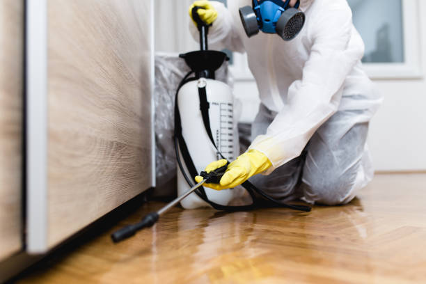 Best Mosquito Control Services  in Central, TN
