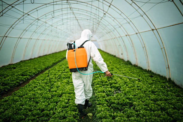 Best Residential Pest Control  in Central, TN