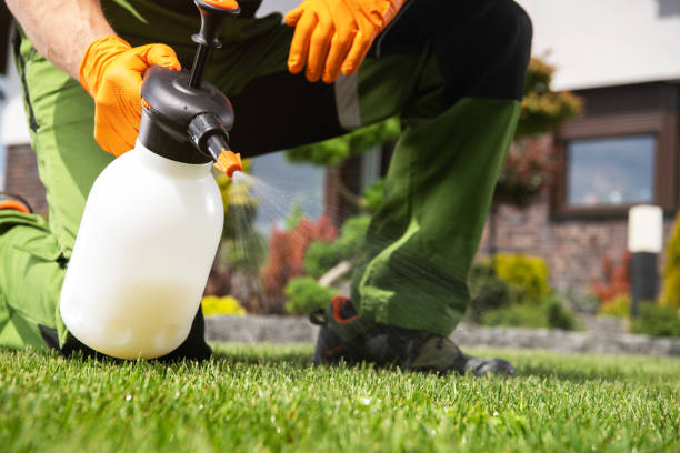 Reliable Central, TN Pest Control Solutions