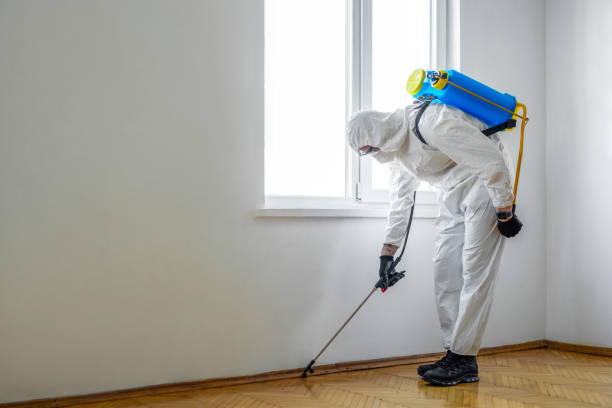 Best Bed Bug Extermination  in Central, TN