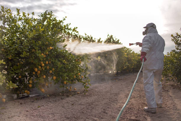 Pest Control for Restaurants in Central, TN