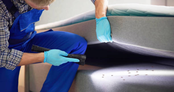 Best Emergency Pest Control  in Central, TN