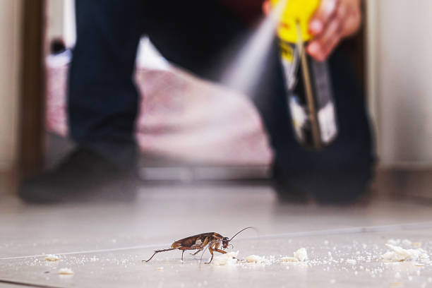 Best Wildlife Control Services  in Central, TN