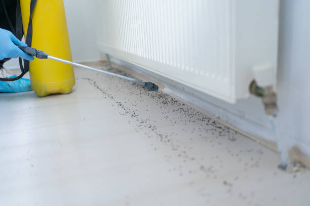 Best Pest Control Near Me  in Central, TN
